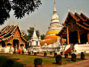 ワットプラシン画像