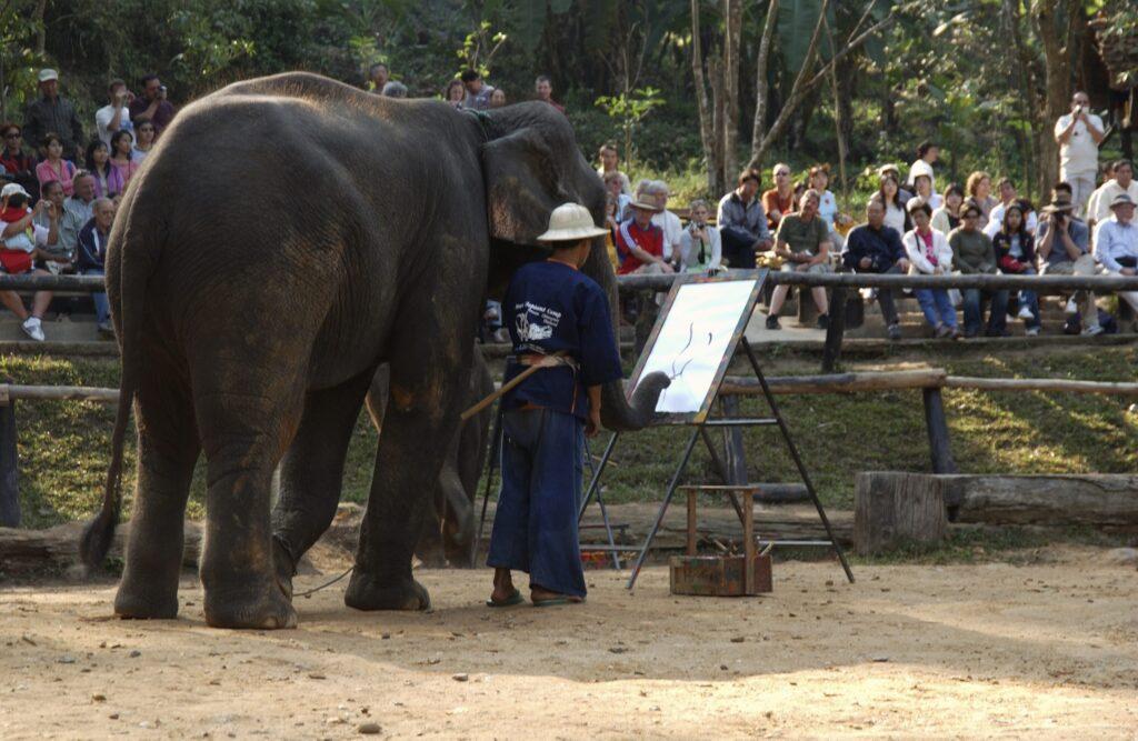 エレファントキャンプ